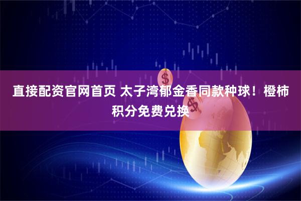 直接配资官网首页 太子湾郁金香同款种球！橙柿积分免费兑换